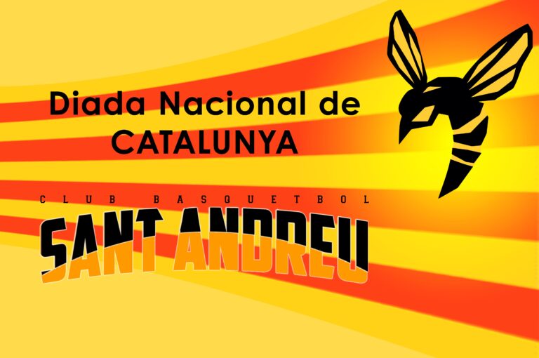 Diada Nacional 2020